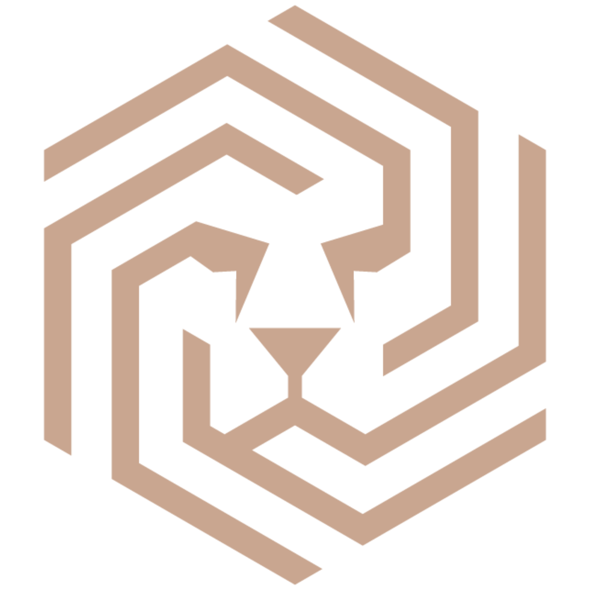 SHAHSMEN Cybersecurity Logo